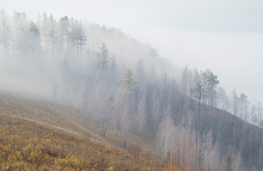 �������� ���� �������