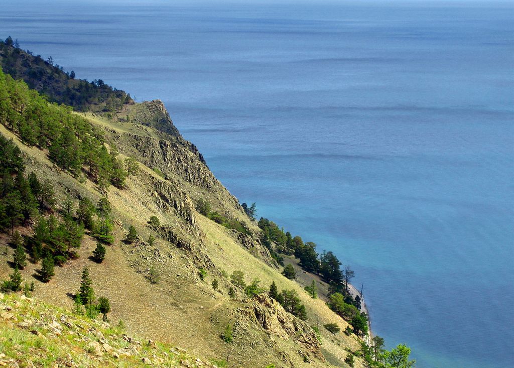 ����������� ������ ��������