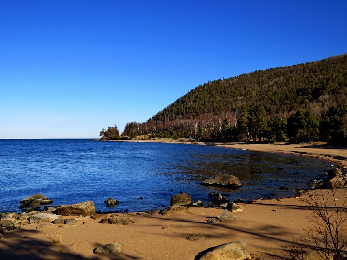 "���������� ������"�