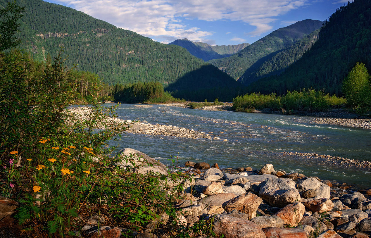 ���� � �����