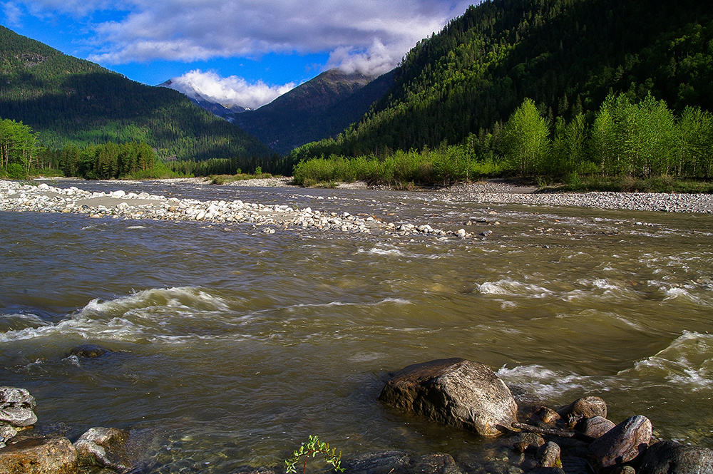 ��� "���� � �����"