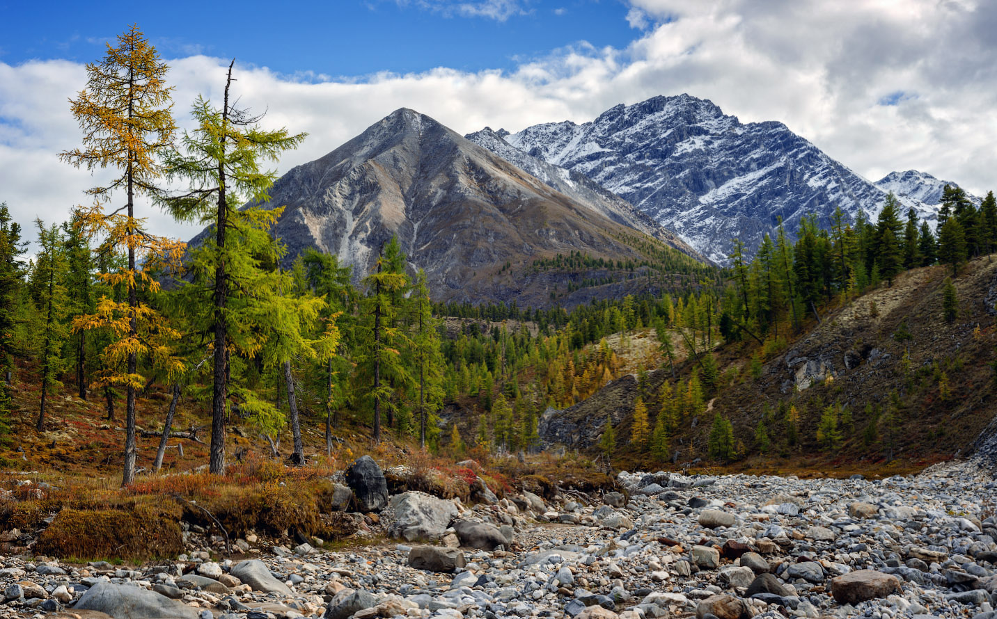 ������ ����� � ���������� �������