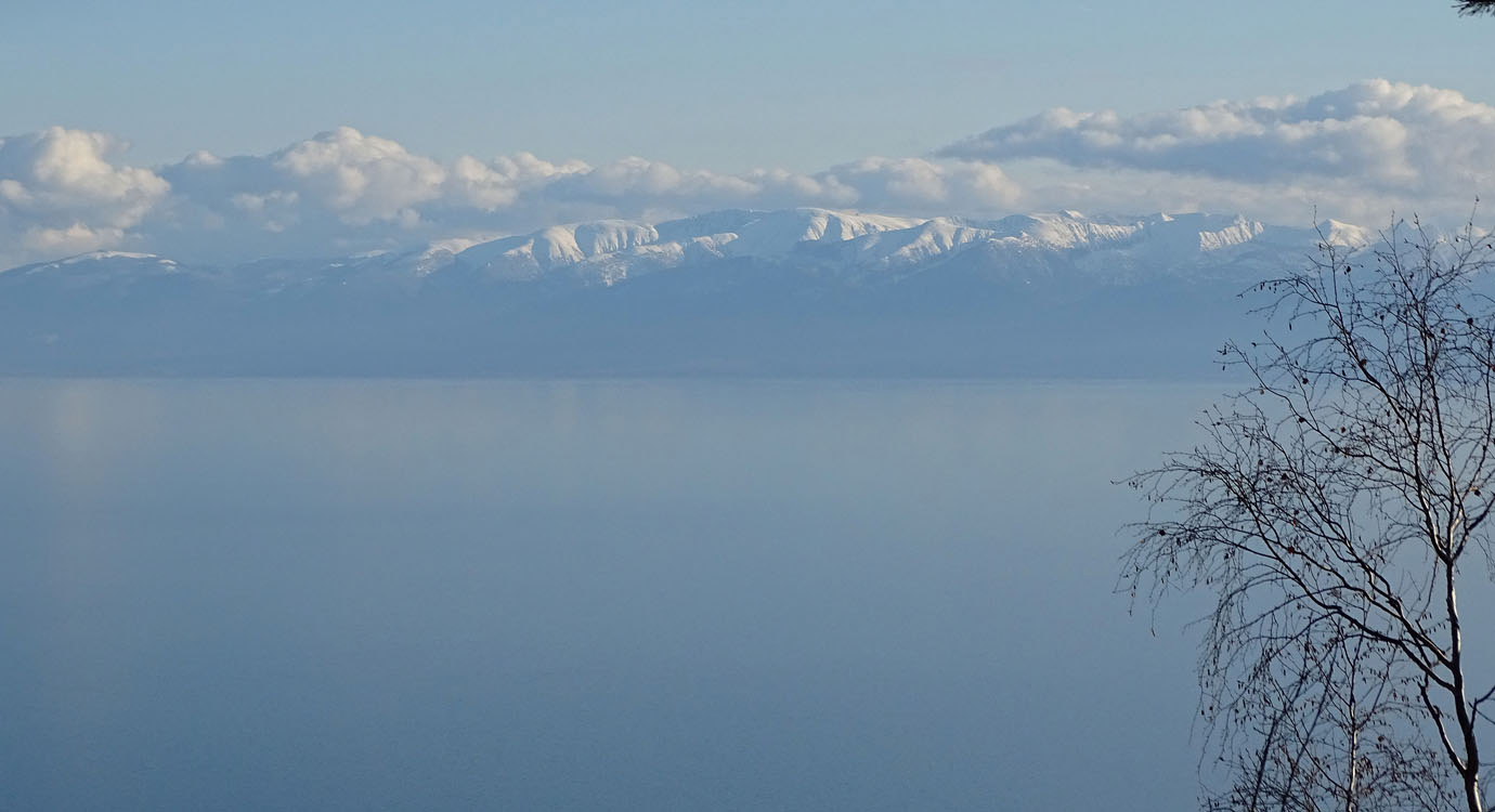 ���� ��� �. ��������