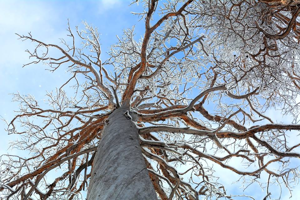 �������� ��������