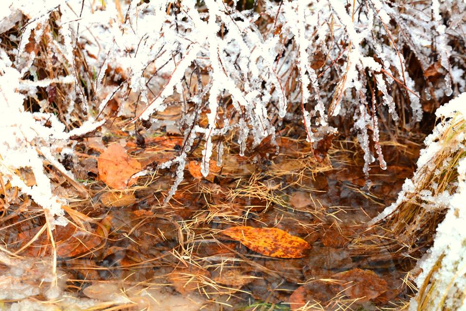 ������� ����� � ���������