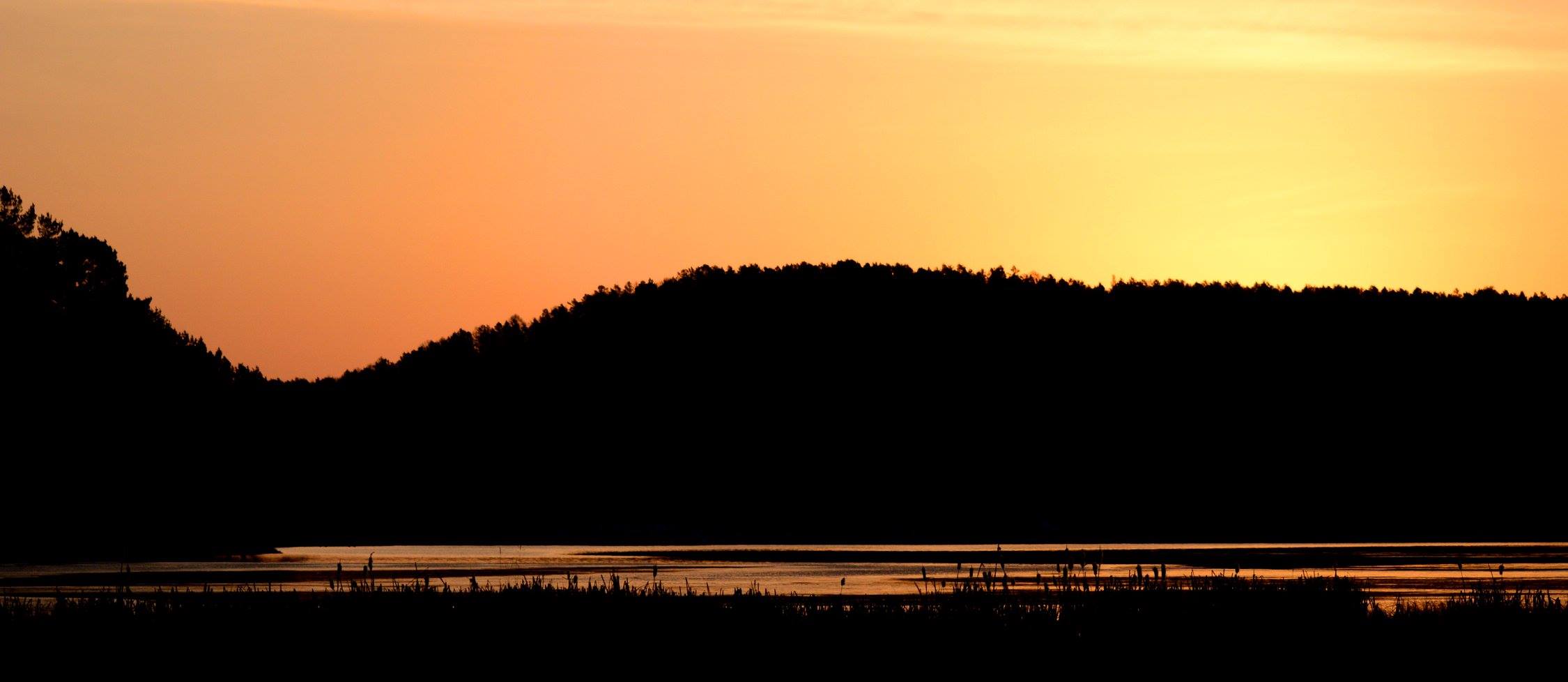 ����� ������ �����