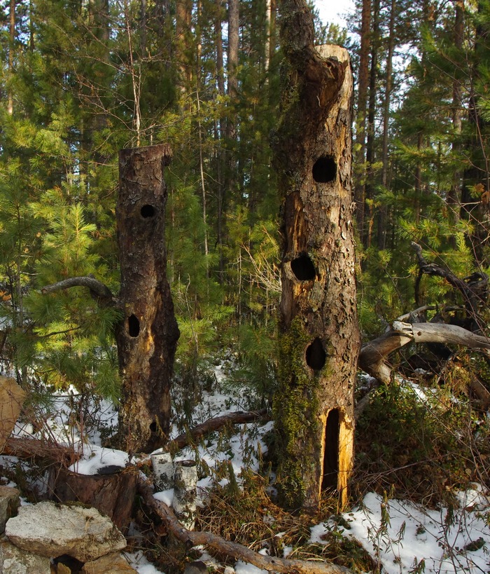 ������� �����������