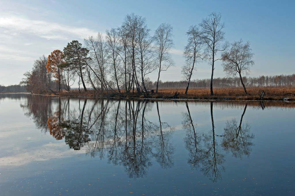 ��� ������ ������