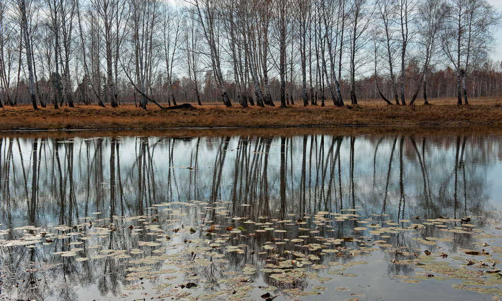 ����� - ������� ���������!