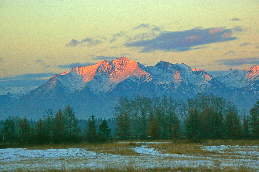 �������� ��� ������