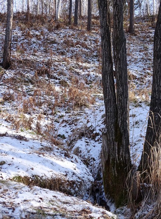 �������� ����