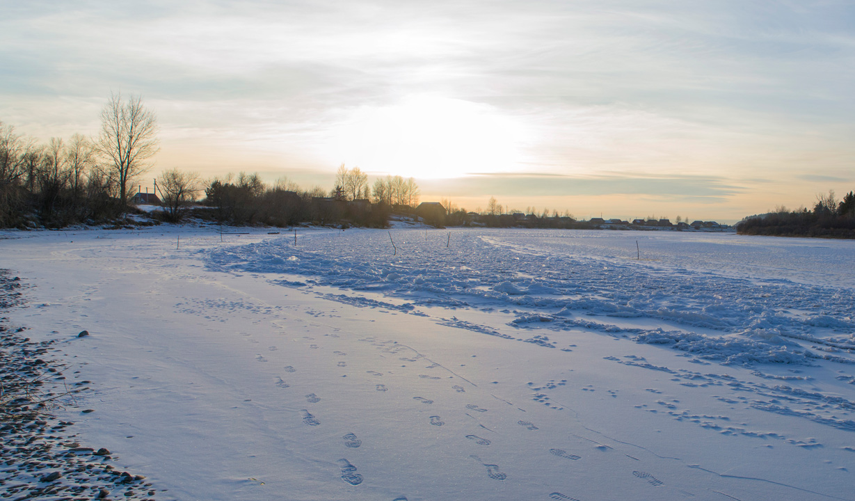 ������� ����� ����� ������