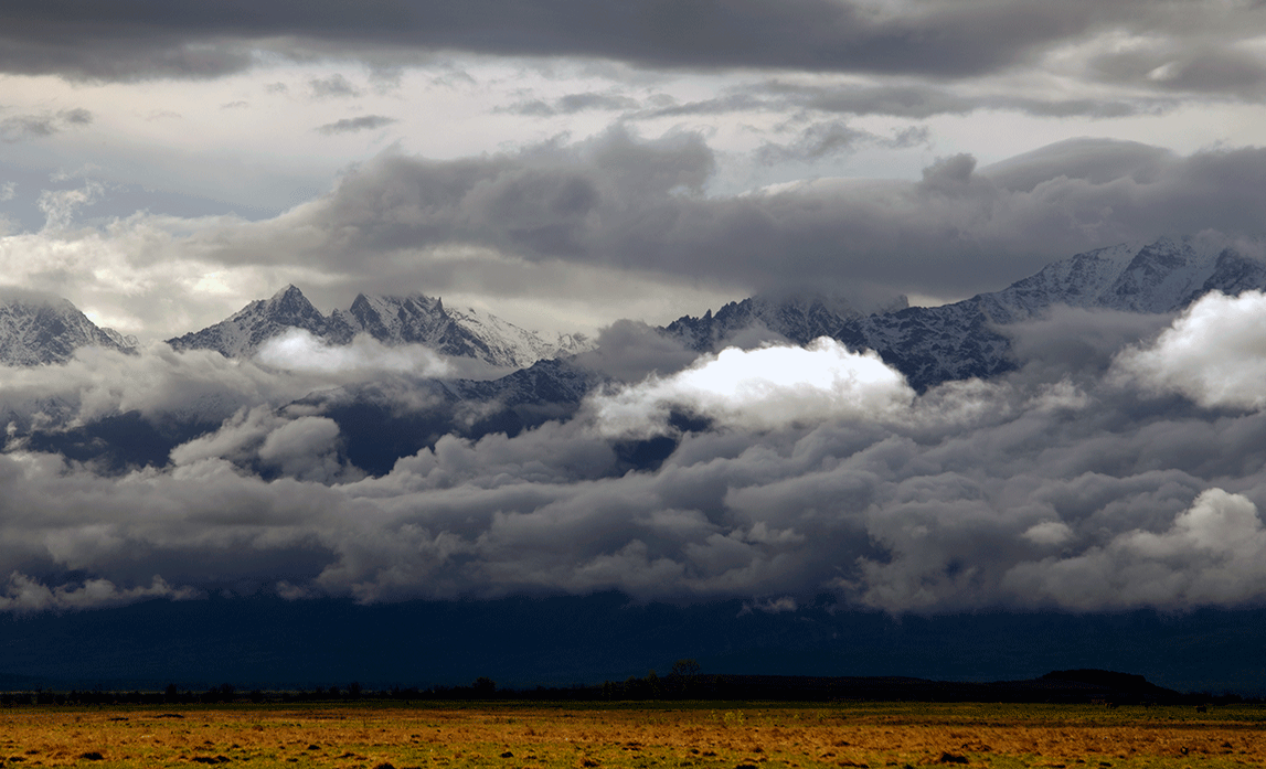 ���� ���������� ����� ����