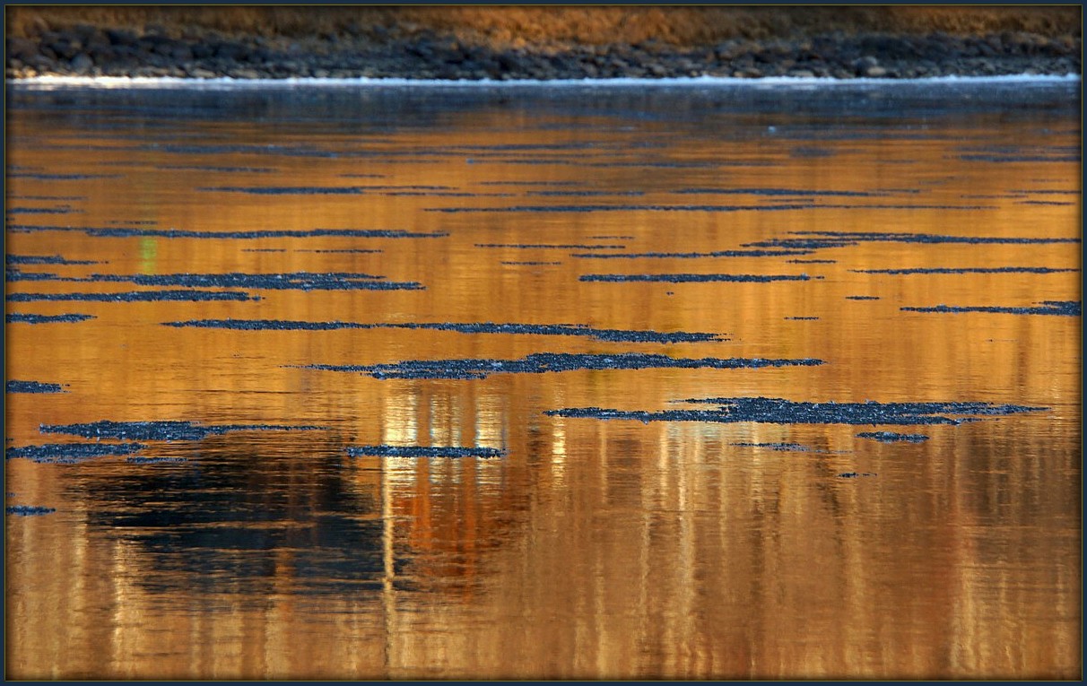 ��� ��� �����