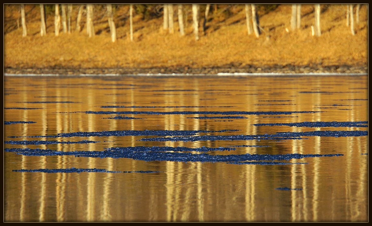 ������� ������������