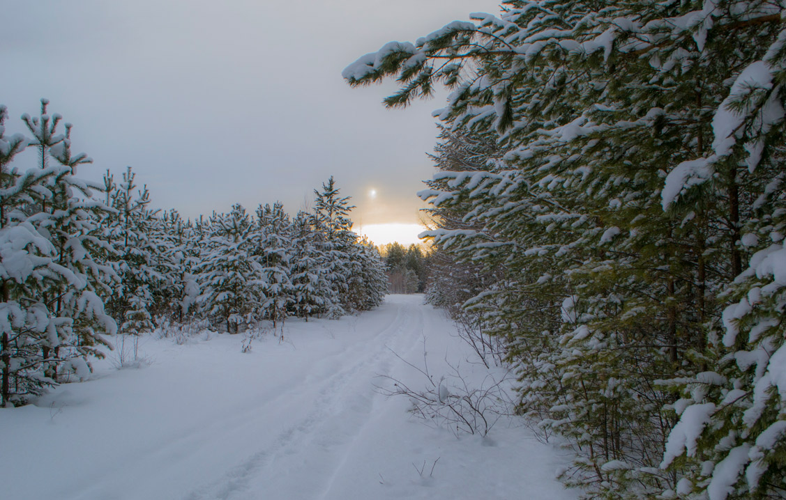 ����������� �����