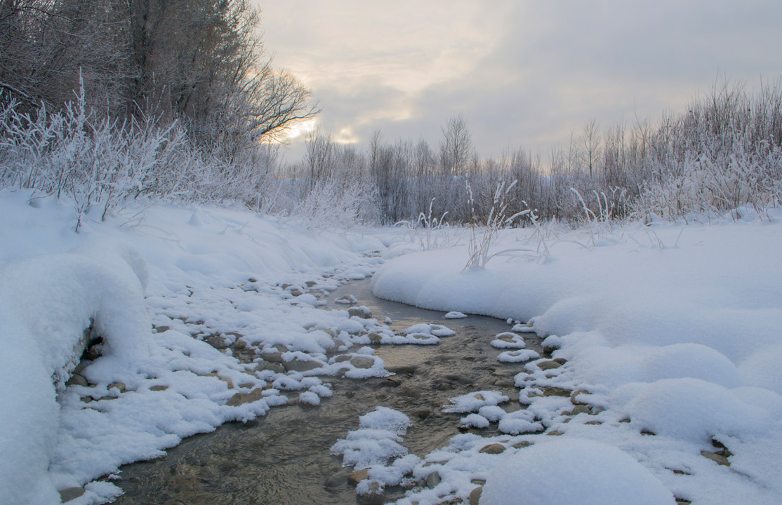 ���������� ���� � ����������