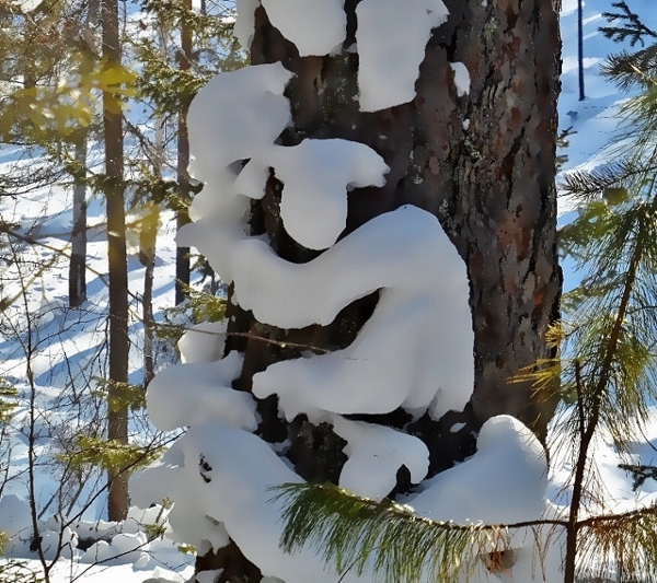 ��������� ������