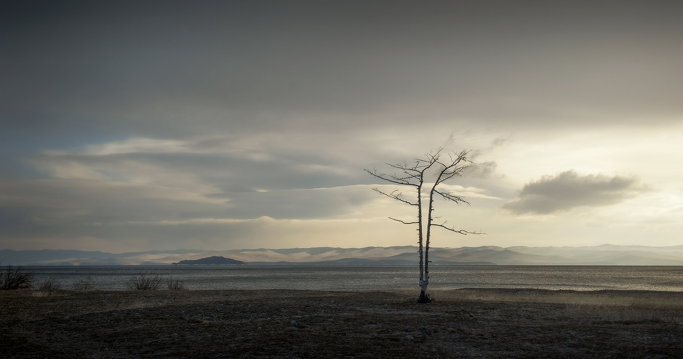 ����������� �����