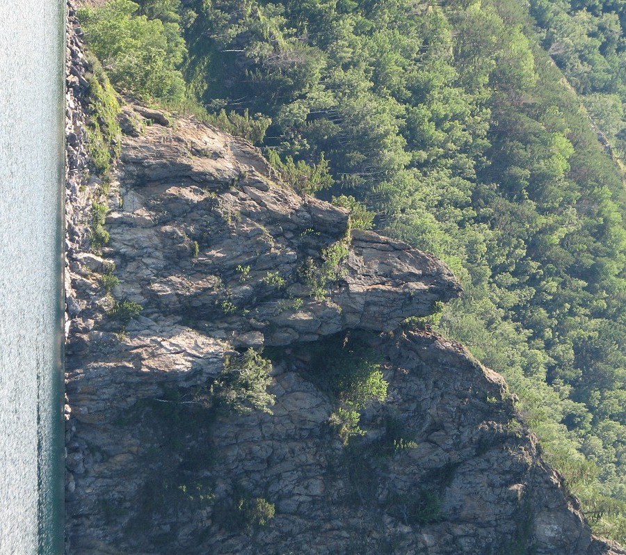 ��� ����������� � ����