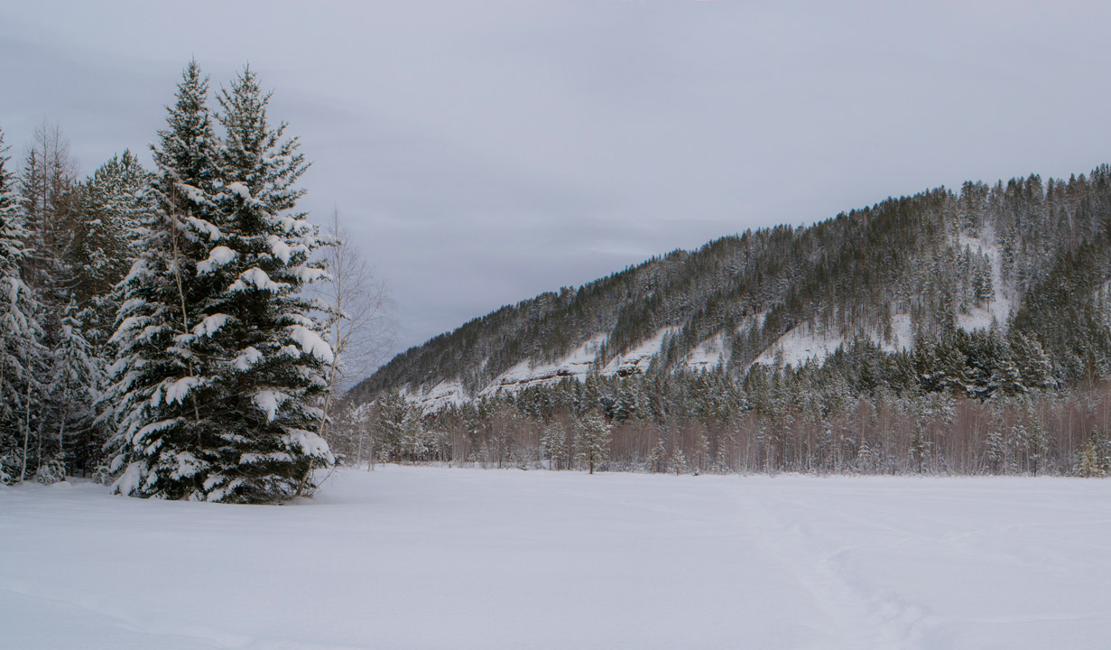 �� ������� ���� ����