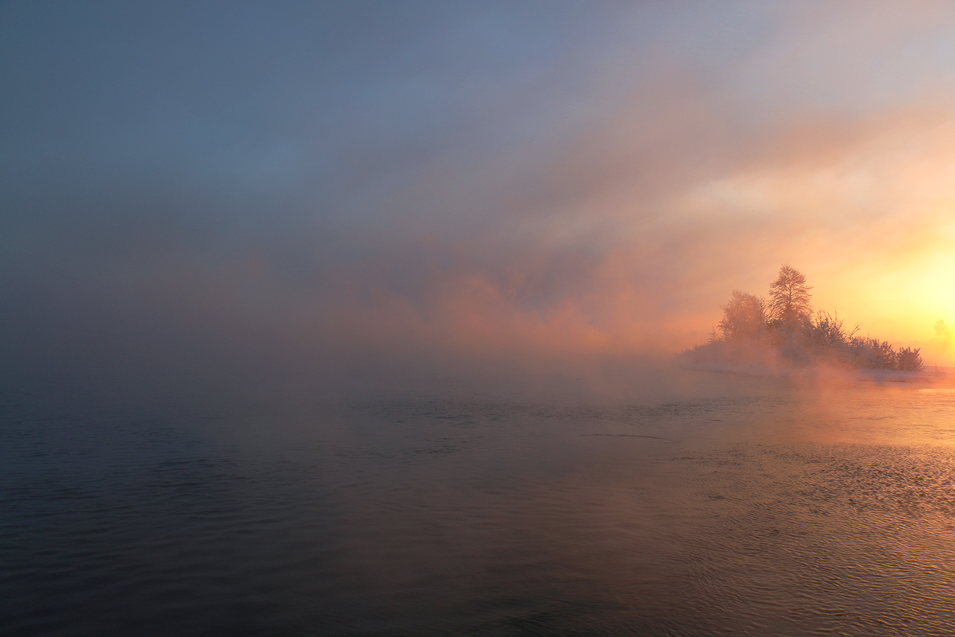 ����� ��������� ����