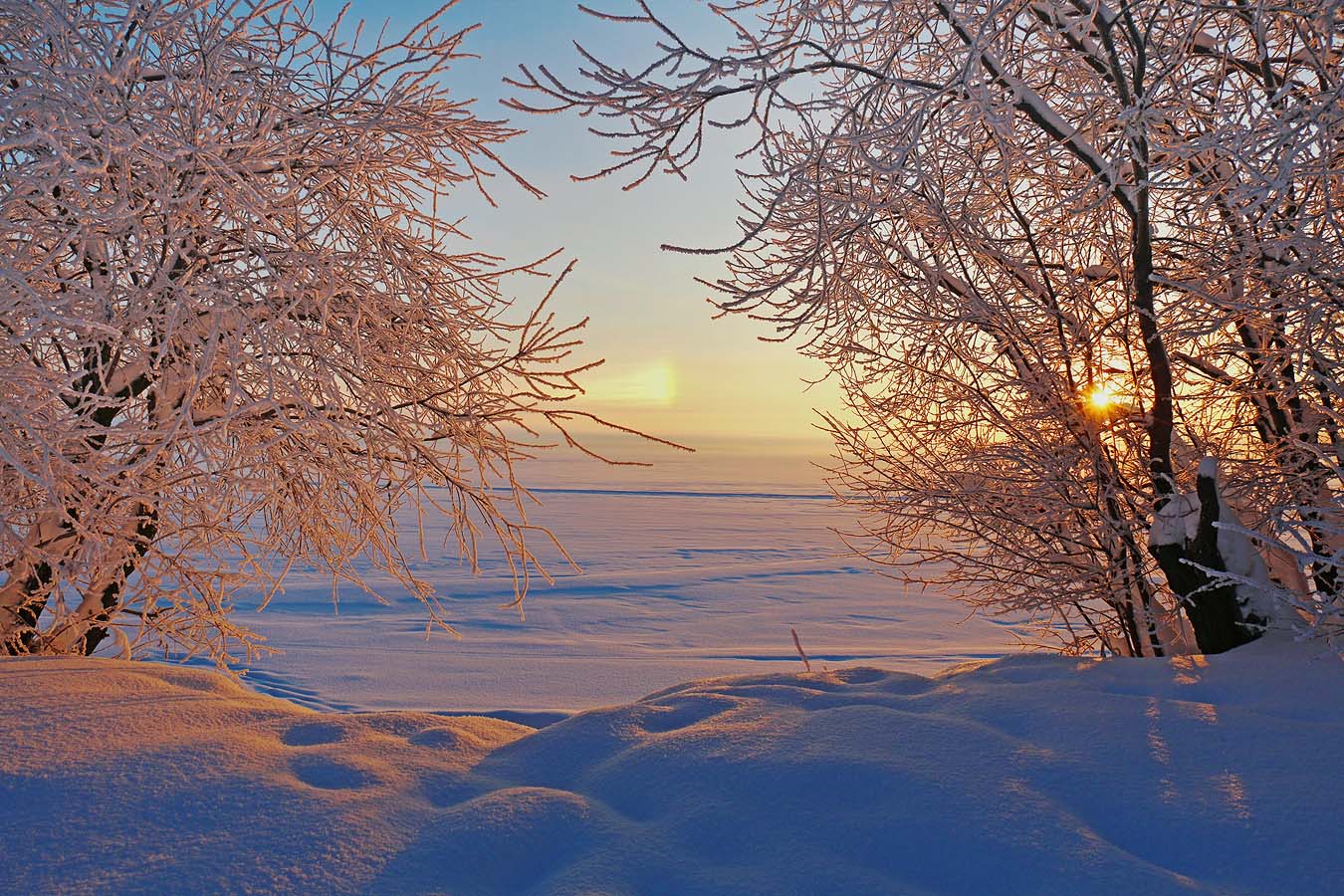 ��������� ������