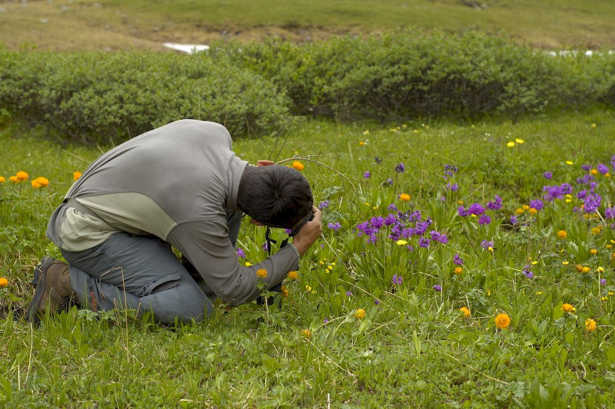 ���� �. ����������