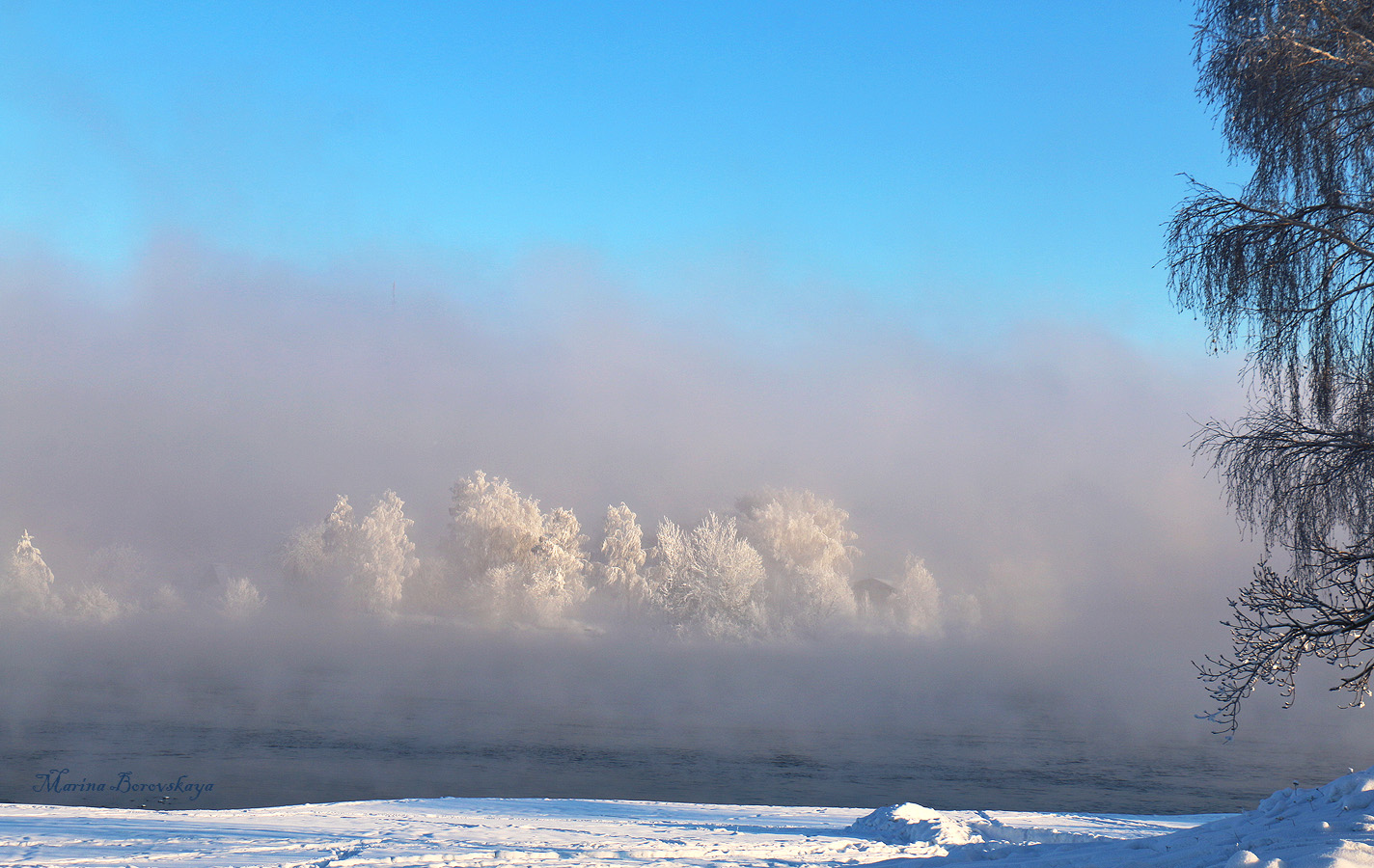 �������� ���� ������