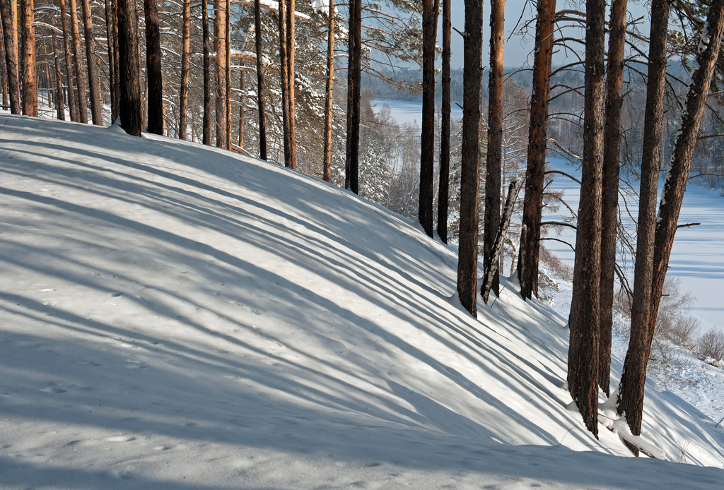 ������� ��������