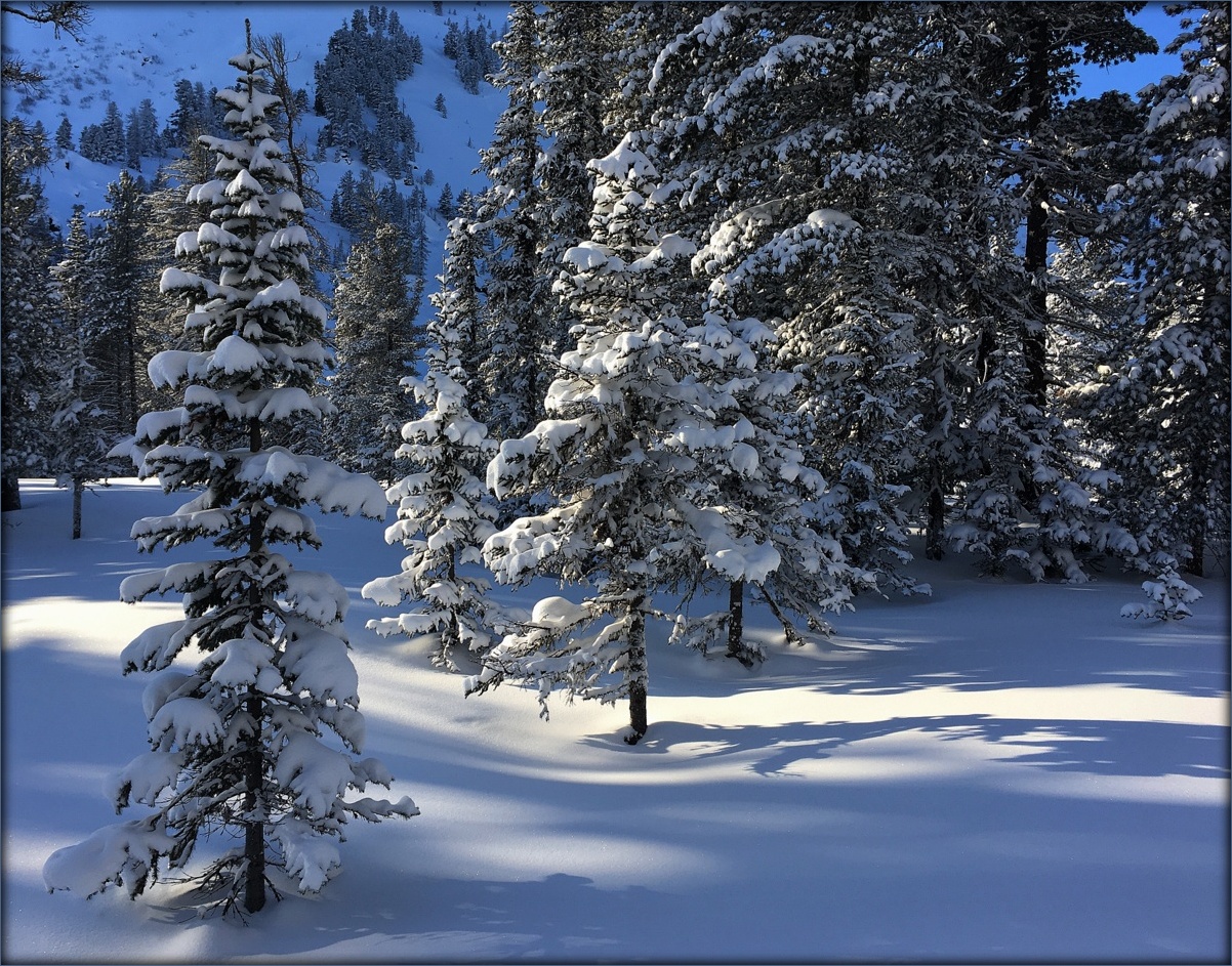 ����� ����������