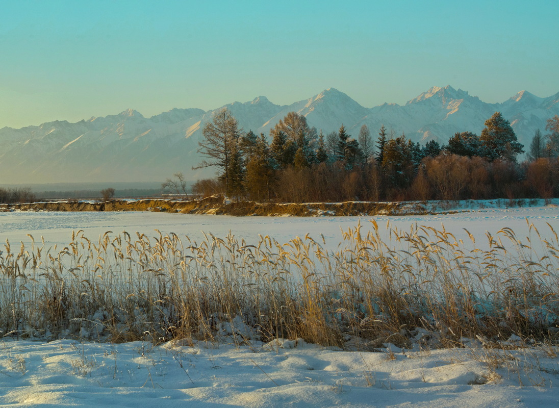 ����� ����� ������