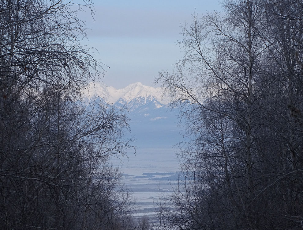 В морозной дымке
