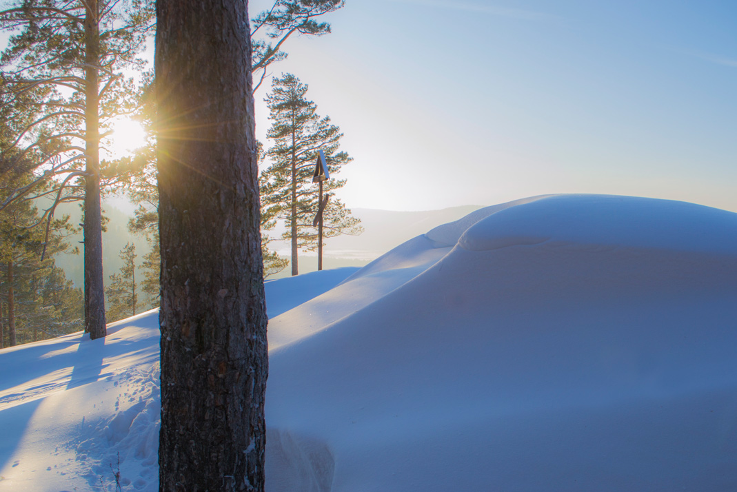 �� �������� ���� � ������